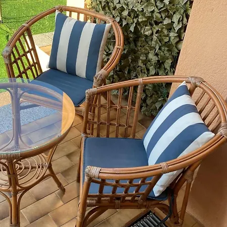 Centro E Cinta Free Bikes *