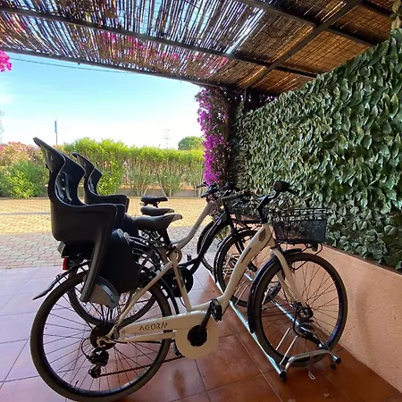 Centro E Cinta Free Bikes Daire San Teodoro (Sardinia)